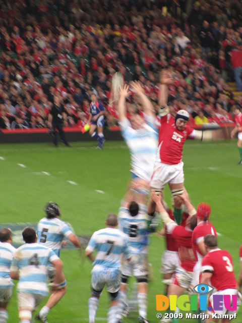 SX10827 Line out rugby Wales vs Argentina Millennium Stadium Cardiff